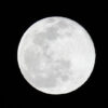 2022年最初の満月「ウルフムーン」を撮ってみた。